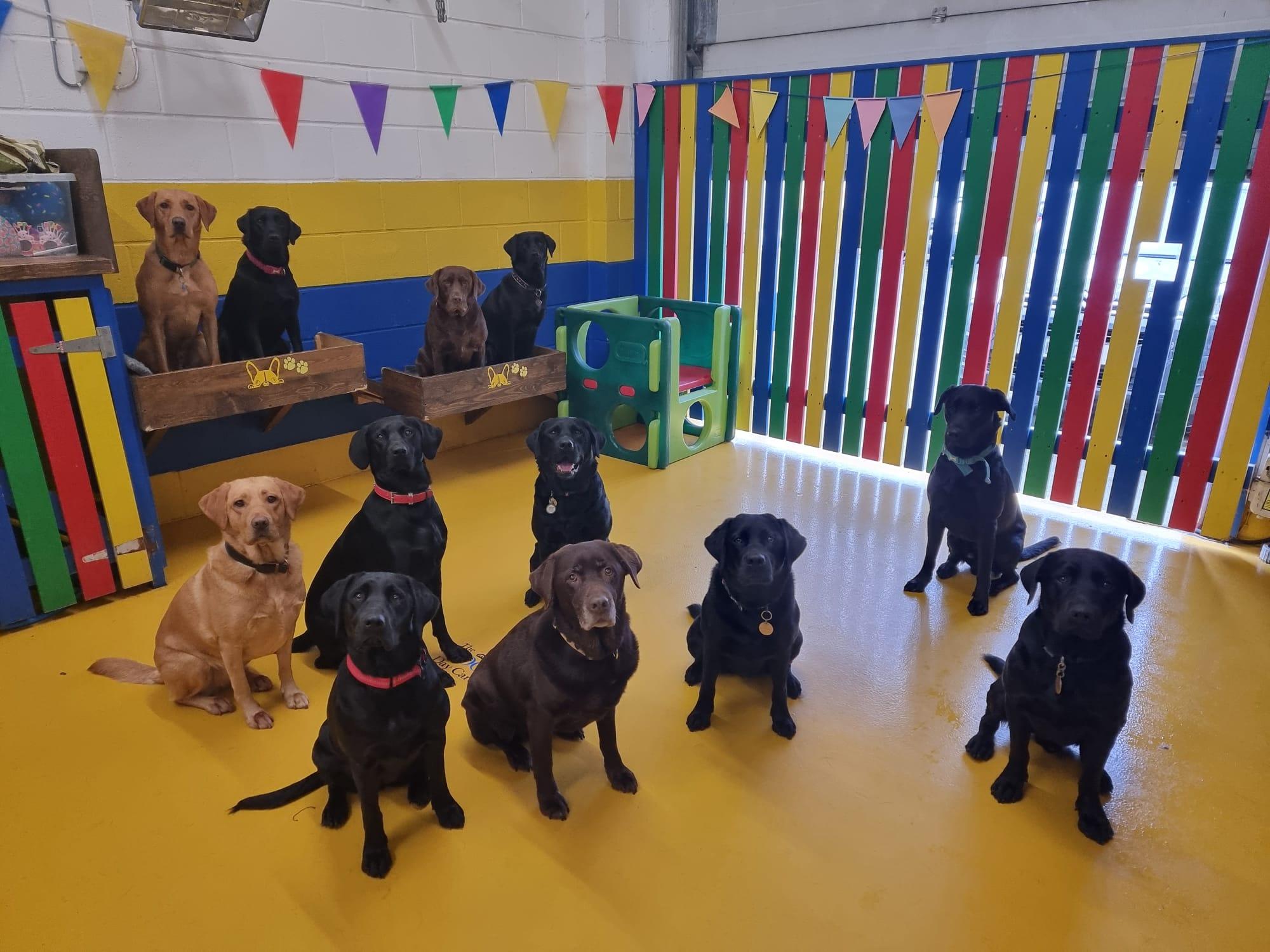 https://ddcpreview-fohcy.projectbeta.co.uk/wp-content/uploads/2022/10/PHOTO-2022-09-28-16-06-48.jpg