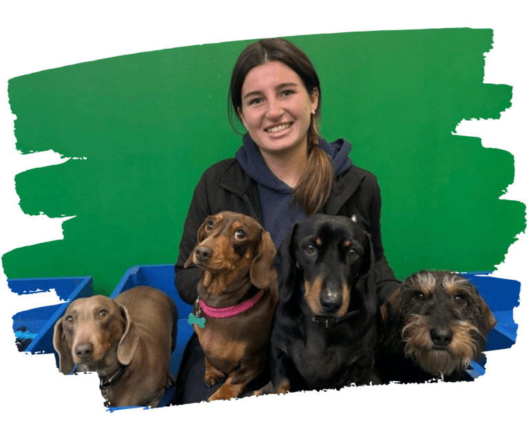 https://ddcpreview-fohcy.projectbeta.co.uk/wp-content/uploads/2024/12/Ellie-768x640.png