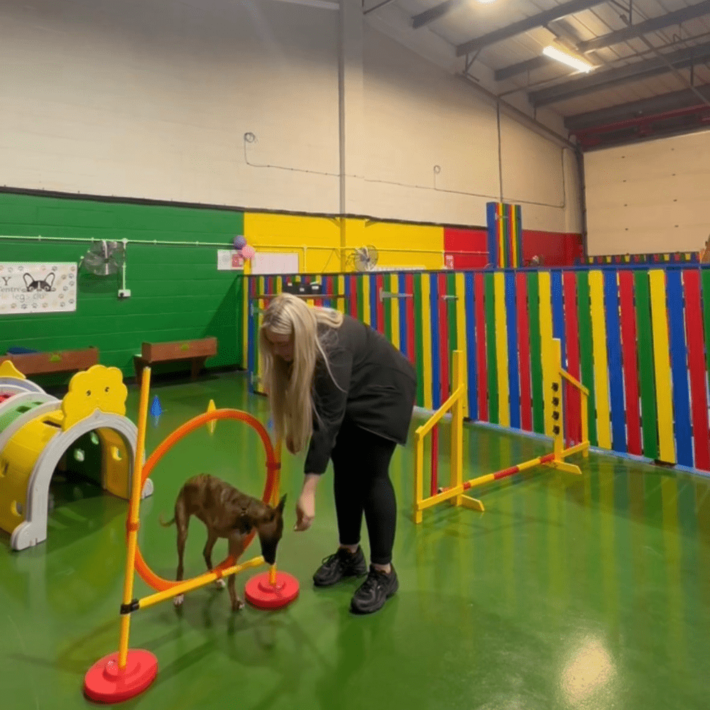 https://ddcpreview-fohcy.projectbeta.co.uk/wp-content/uploads/2025/07/BLYTH-2.png