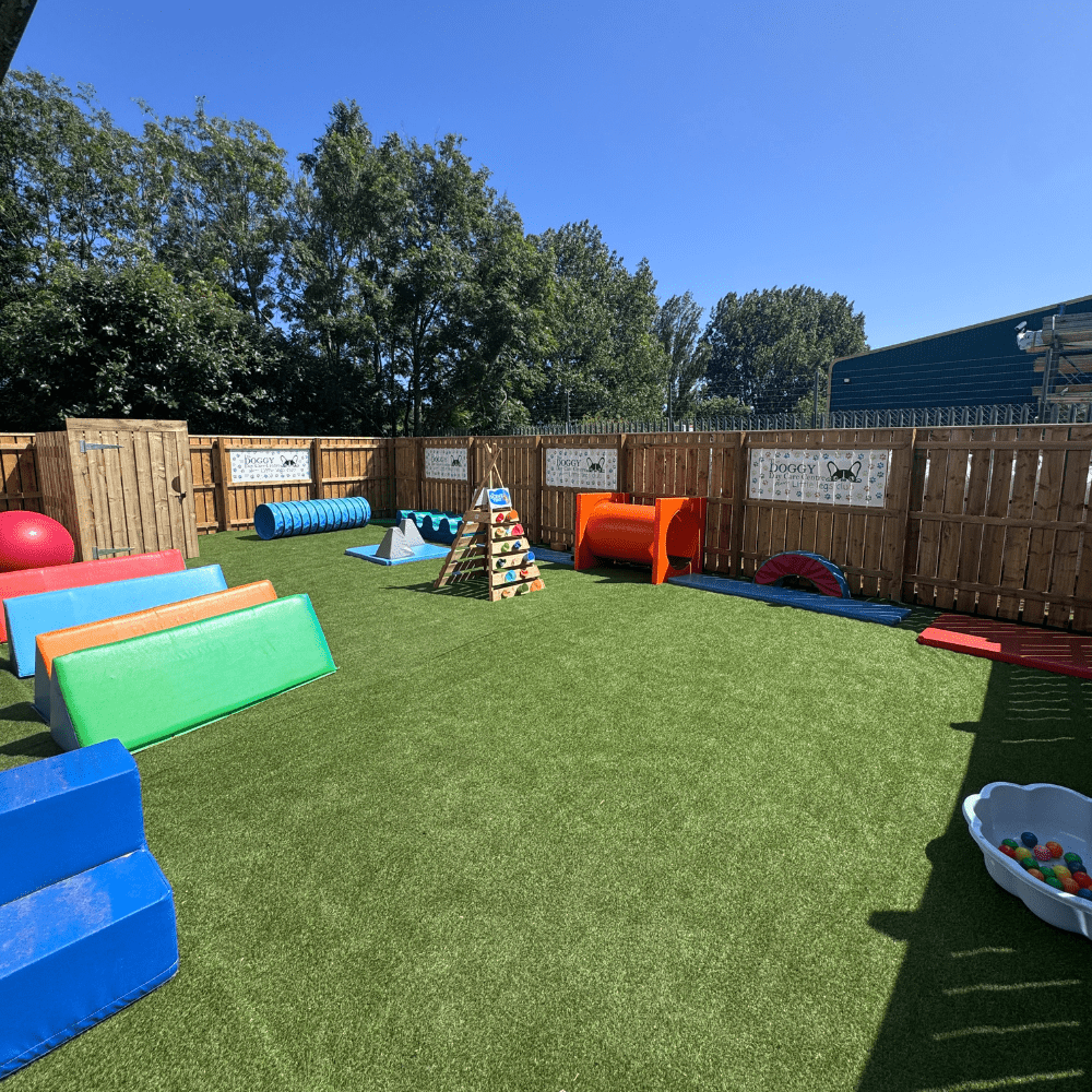 https://ddcpreview-fohcy.projectbeta.co.uk/wp-content/uploads/2025/07/BLYTH-Out.png