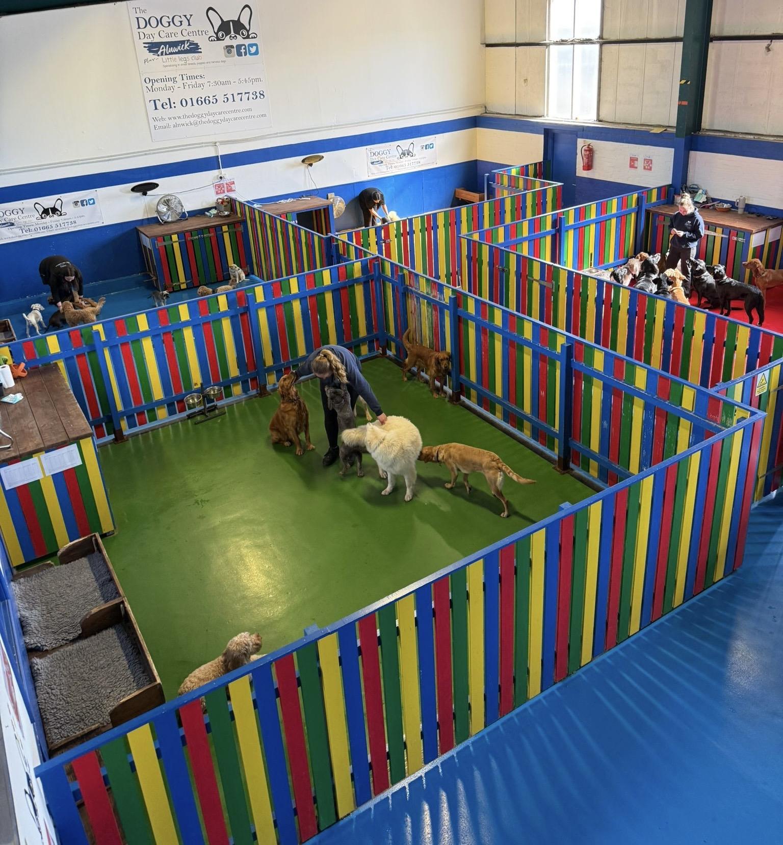 https://ddcpreview-fohcy.projectbeta.co.uk/wp-content/uploads/2026/04/Alnwick-homepage-.jpg